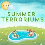 Summer Terrariums